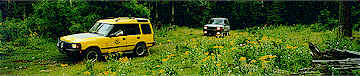 Land Rovers in the Woods